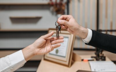 What does a Conveyancer do?